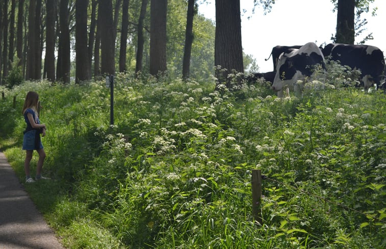 Natuurhuisje in Maldegem