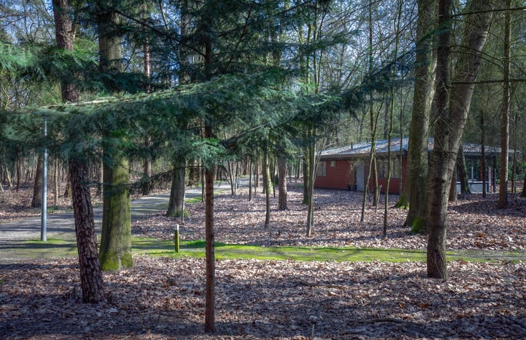 Natuurhuisje in Voorthuizen