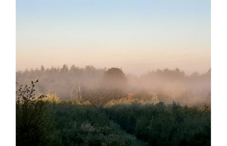 Natuurhuisje in Zarren