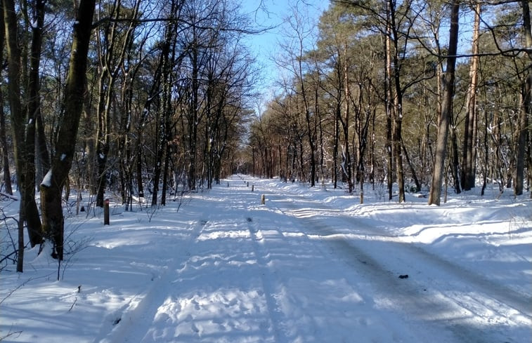 Natuurhuisje in Winterswijk