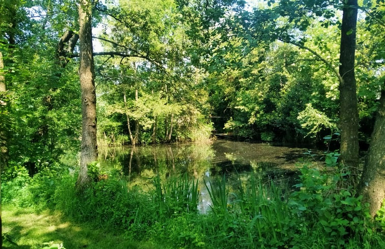 Natuurhuisje in Kollumerzwaag