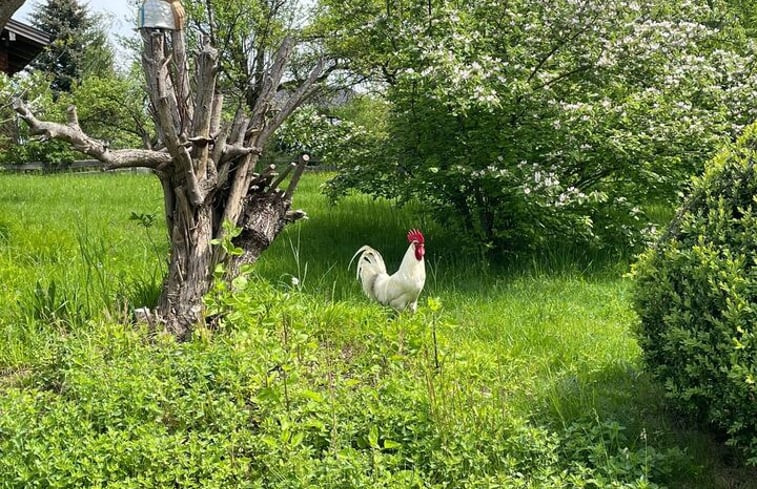 Natuurhuisje in Breitbrunn