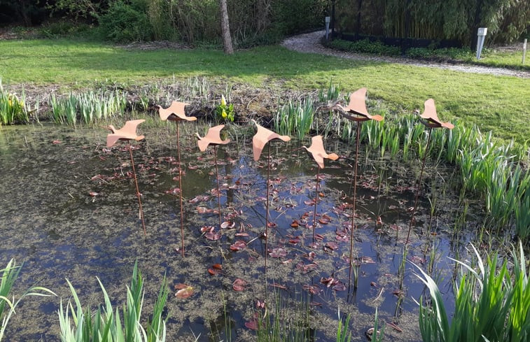 Natuurhuisje in Schoorl