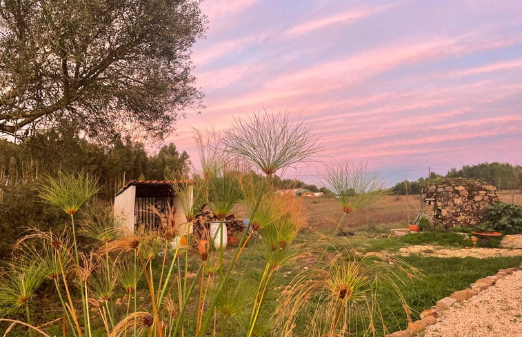 Natuurhuisje in Sao Teotonio