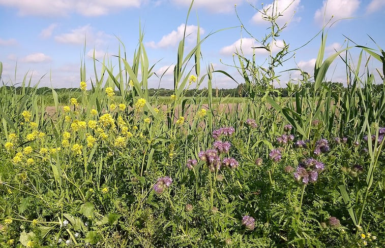 Natuurhuisje in Drimmelen