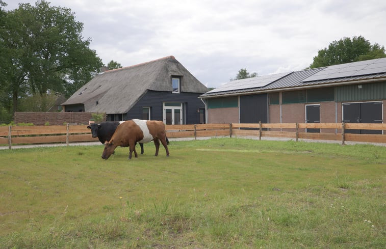 Natuurhuisje in Benneveld