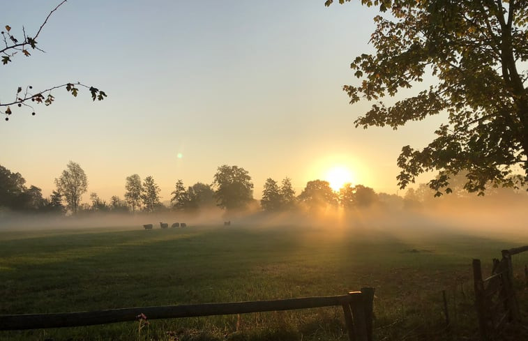 Natuurhuisje in Brummen