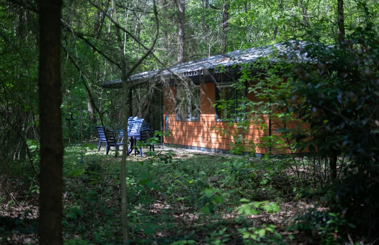 Natuurhuisje in Voorthuizen