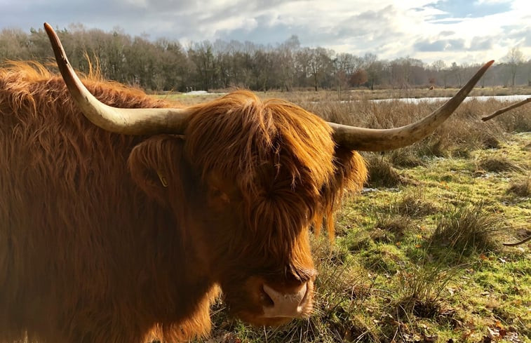 Natuurhuisje in Haaksbergen