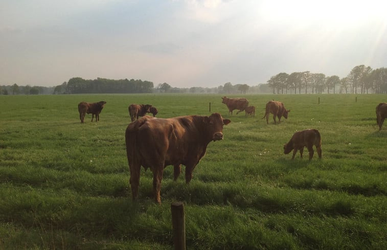 Natuurhuisje in Denekamp