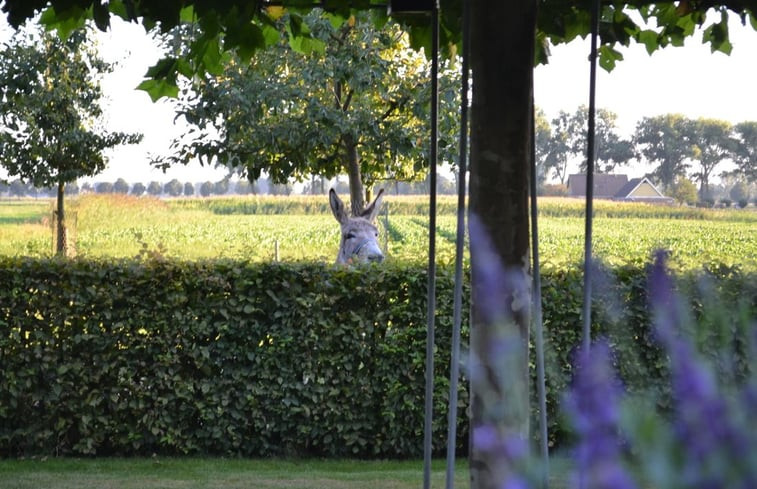 Natuurhuisje in Andel