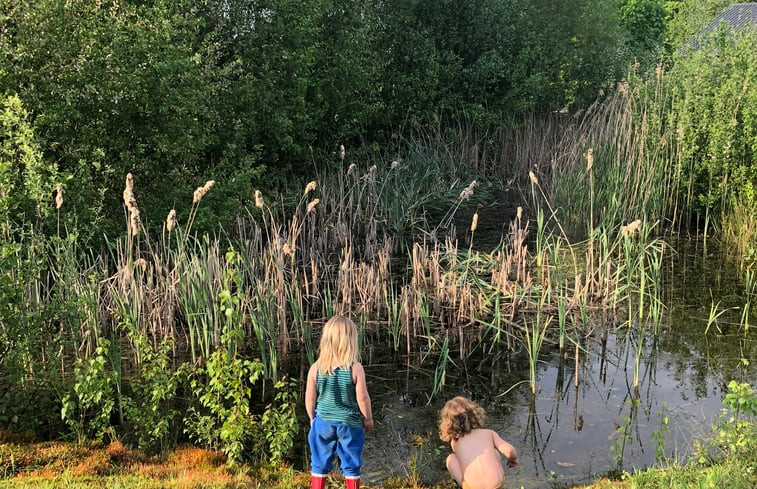 Natuurhuisje in Hooge Zwaluwe