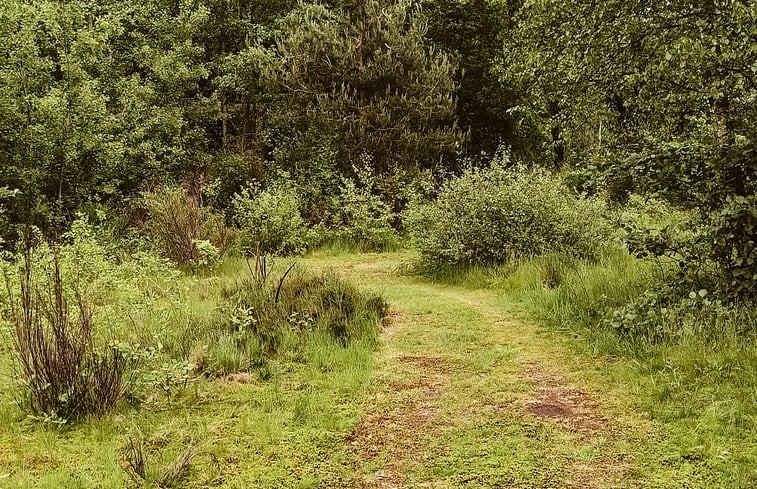 Natuurhuisje in Opende