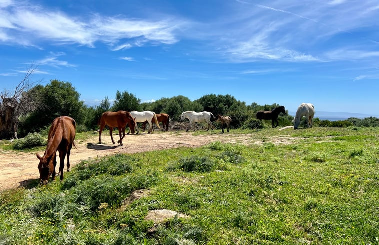 Natuurhuisje in Tarifa