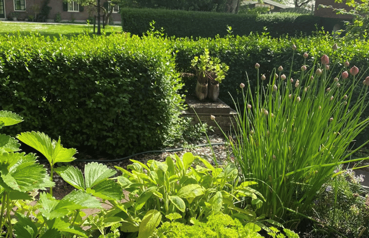 Natuurhuisje in Oud Ade