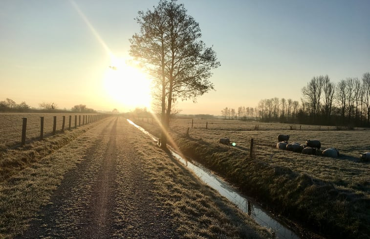 Natuurhuisje in De Tike