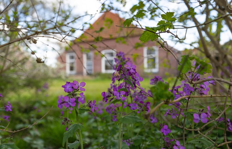 Natuurhuisje in Geesteren