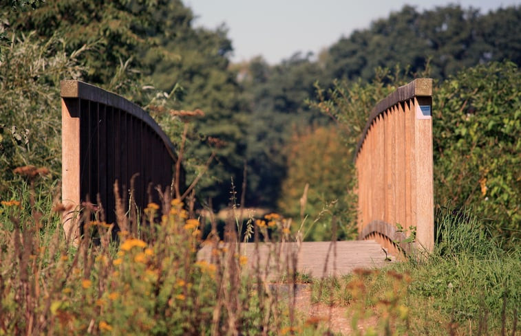 Natuurhuisje in Dötlingen Ostrittrum