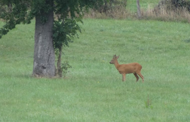 Natuurhuisje in Hombourg, Plombières