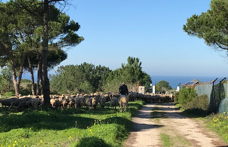 Natuurhuisje in Azoia, Cabo Espichel