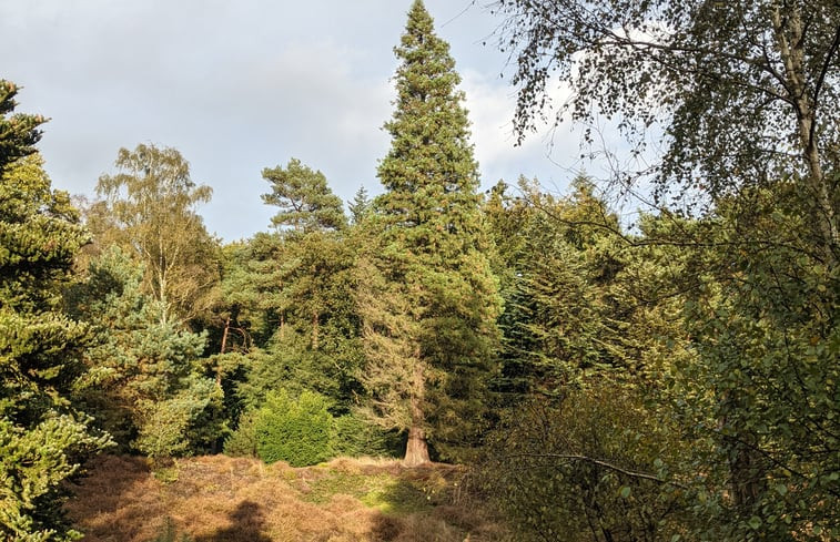 Natuurhuisje in Utrecht