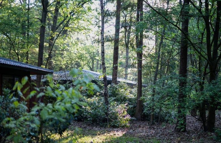 Natuurhuisje in Voorthuizen