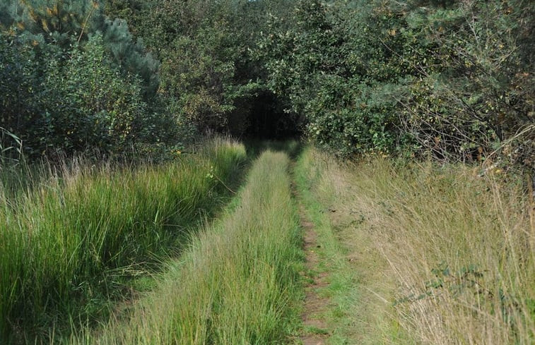 Natuurhuisje in Vorden