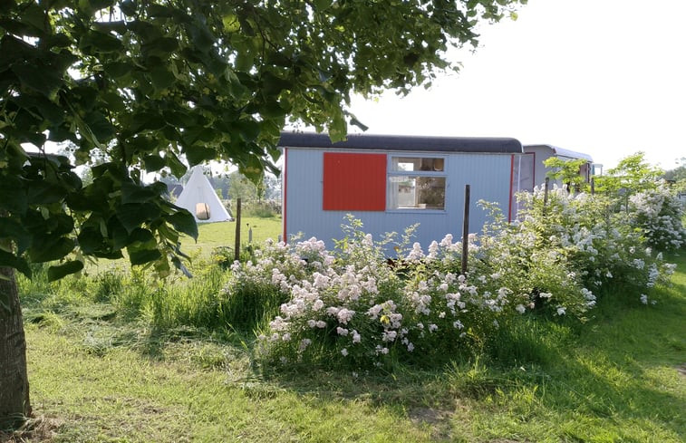 Natuurhuisje in Zutphen