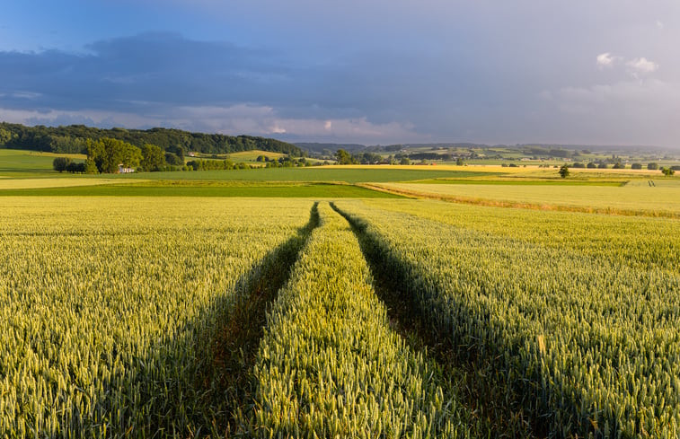 Natuurhuisje in Oudenaarde