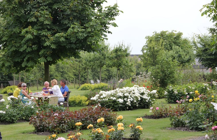 Natuurhuisje in Zoutelande