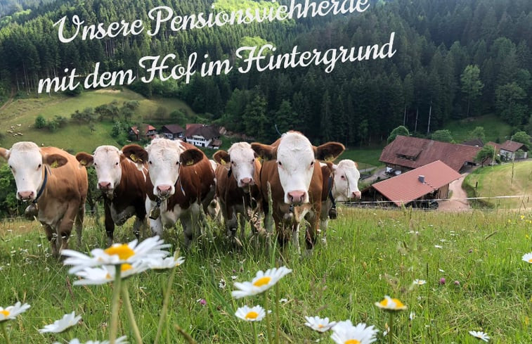 Natuurhuisje in Oberwolfach