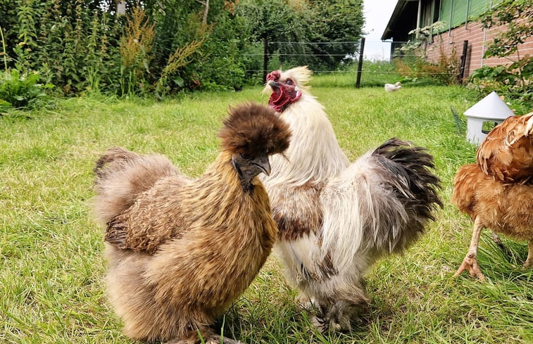 Natuurhuisje in Genderen