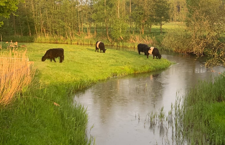 Natuurhuisje in Stramproy