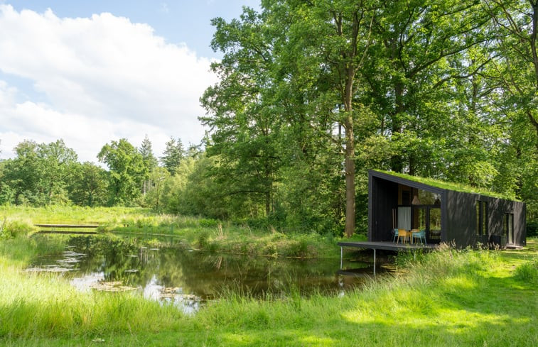 Natuurhuisje in Diepenheim