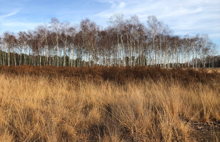 Natuurhuisje in Oisterwijk