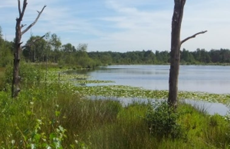 Natuurhuisje in Sint-Oedenrode