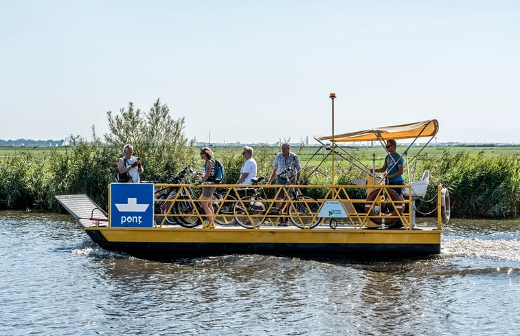 Natuurhuisje in Oudega SWF