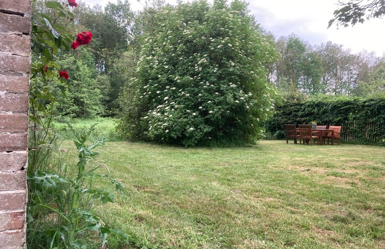 Natuurhuisje in Fochteloo