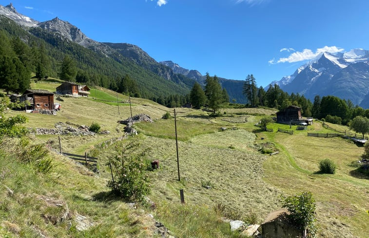 Natuurhuisje in Grächen