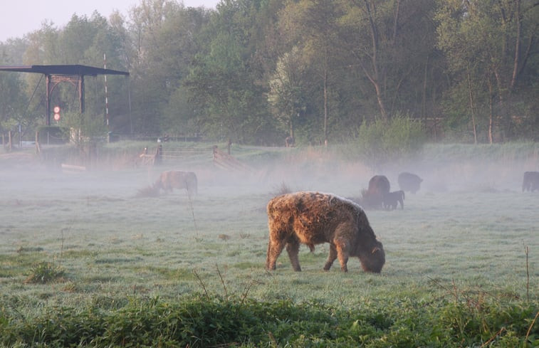 Natuurhuisje in Weesp