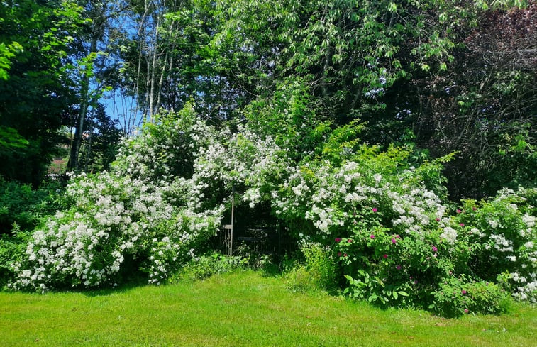 Natuurhuisje in Kirchdorf im Wald