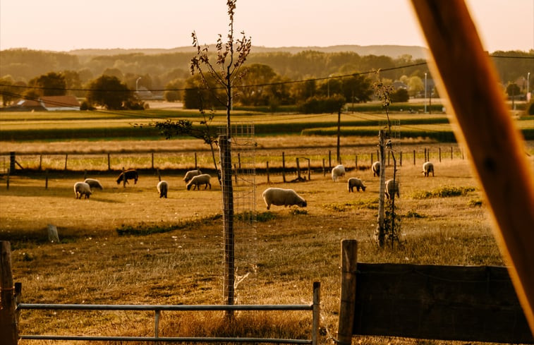 Natuurhuisje in tielt winge