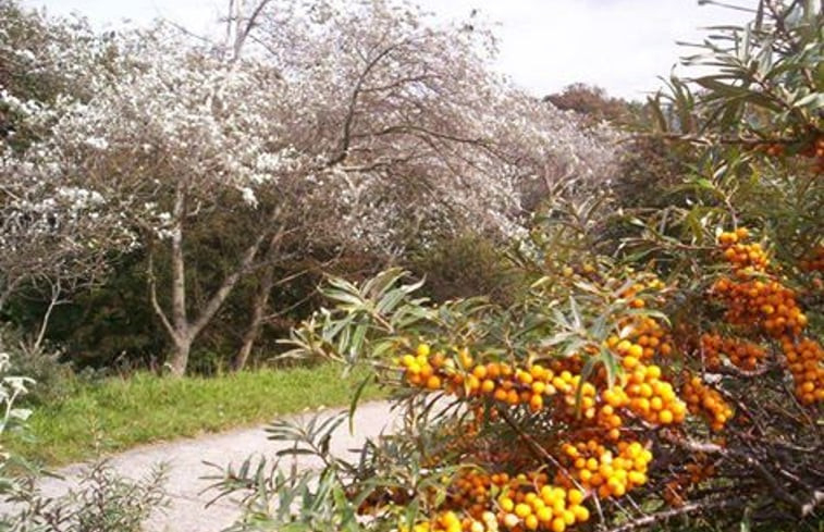 Natuurhuisje in Burgh-Haamstede