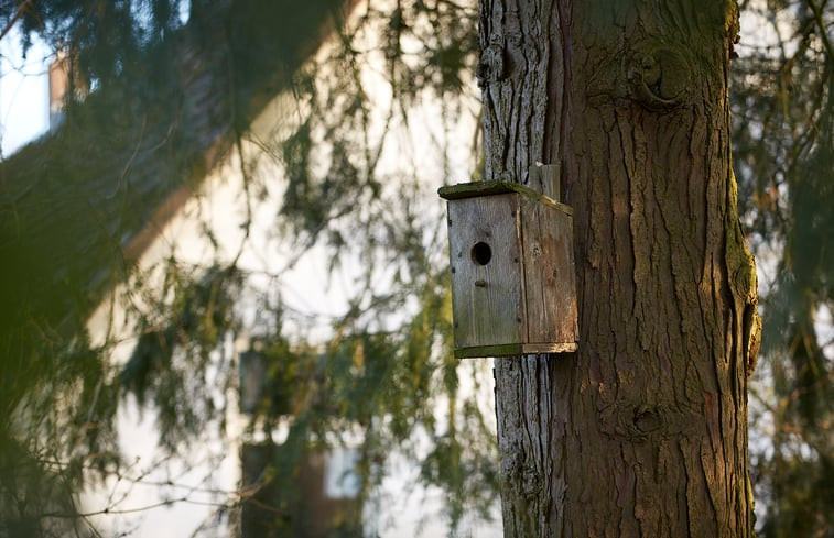 Natuurhuisje in Den Velde