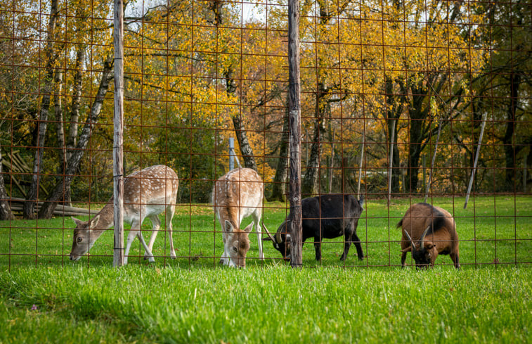 Natuurhuisje in Kerkrade