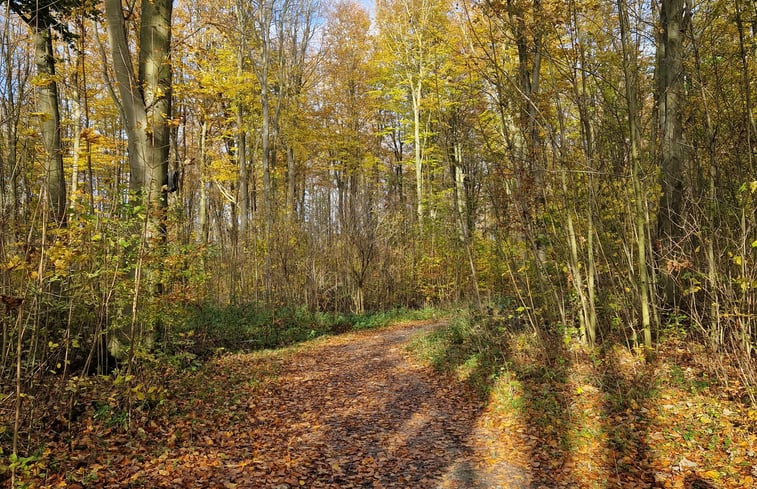 Natuurhuisje in Slootdorp