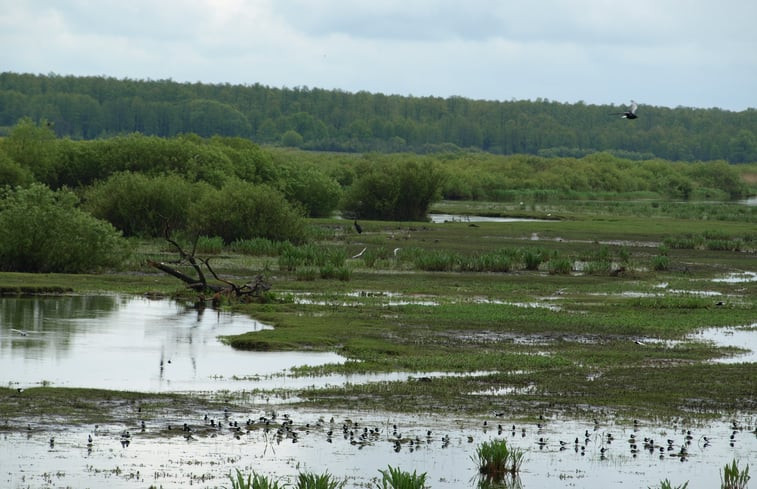 Natuurhuisje in Dolistowo Stare