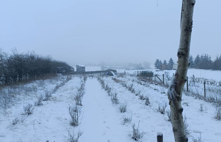 Natuurhuisje in Marche en Famenne