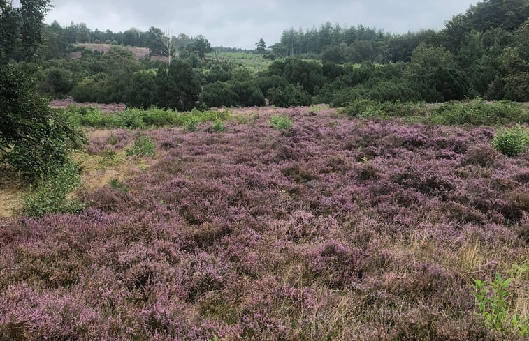 Natuurhuisje in Stegeren