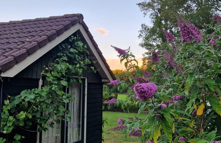 Natuurhuisje in Putten